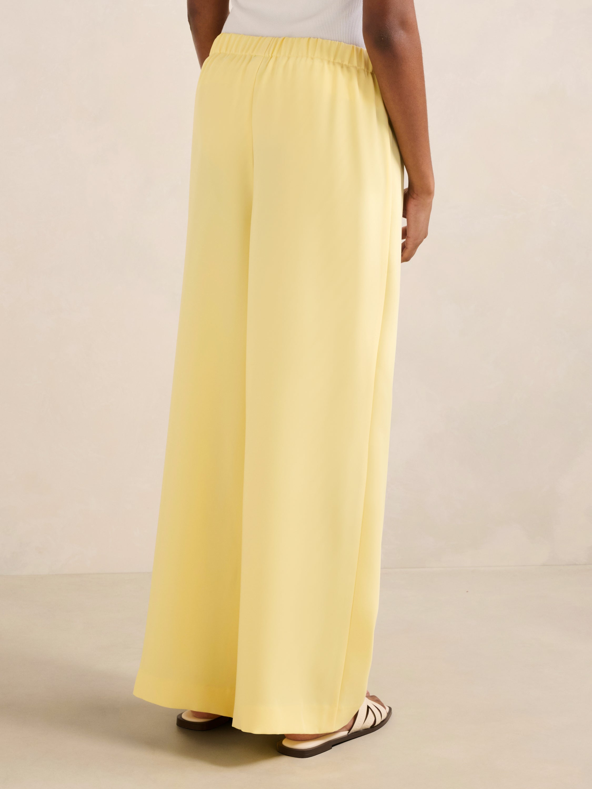 Evelyn Petite Elastic Wide Leg Pant