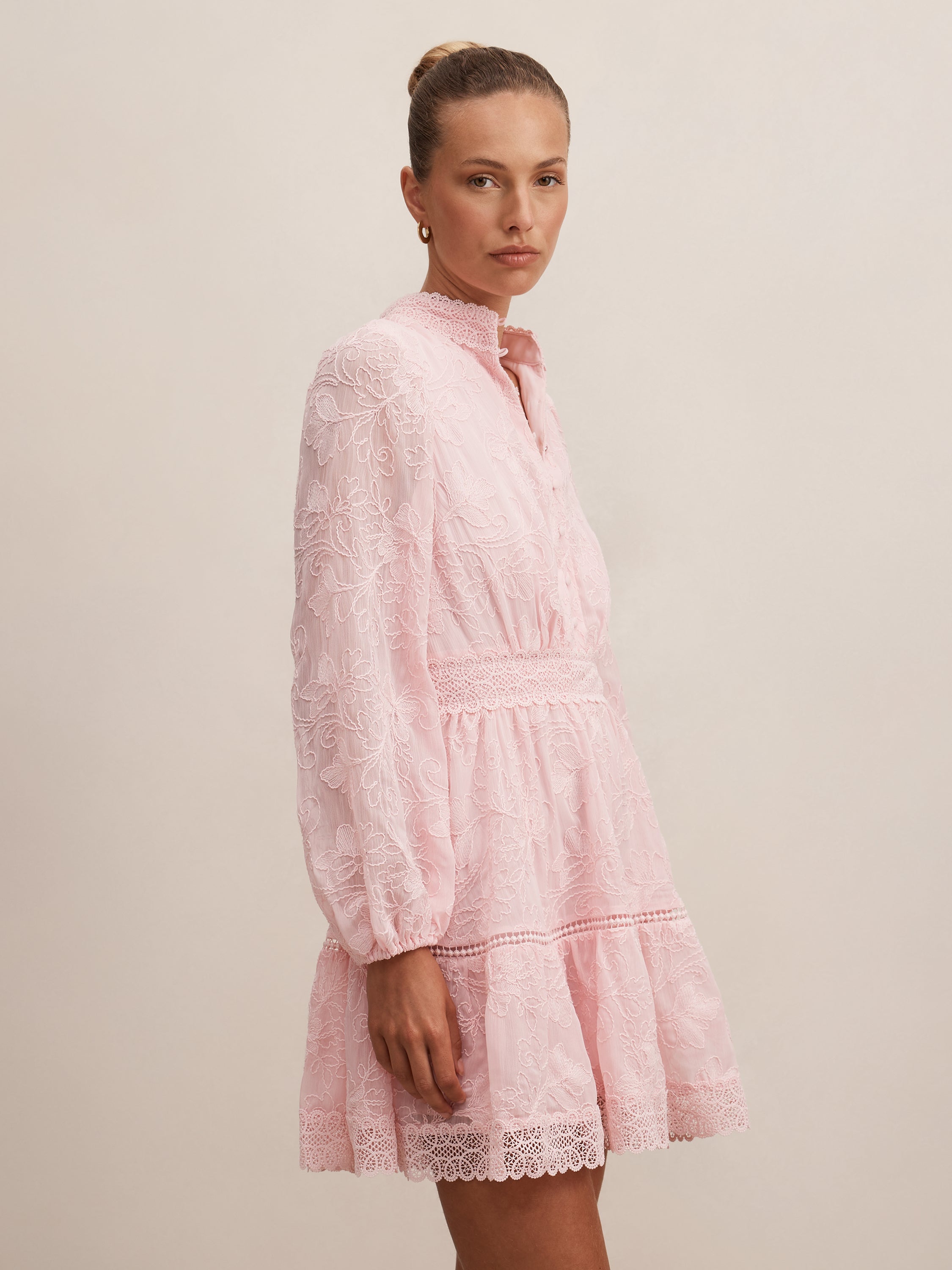 Thalia Embroidered Skater Mini Dress