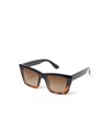 Audrey Large Cat Eye Sunglass